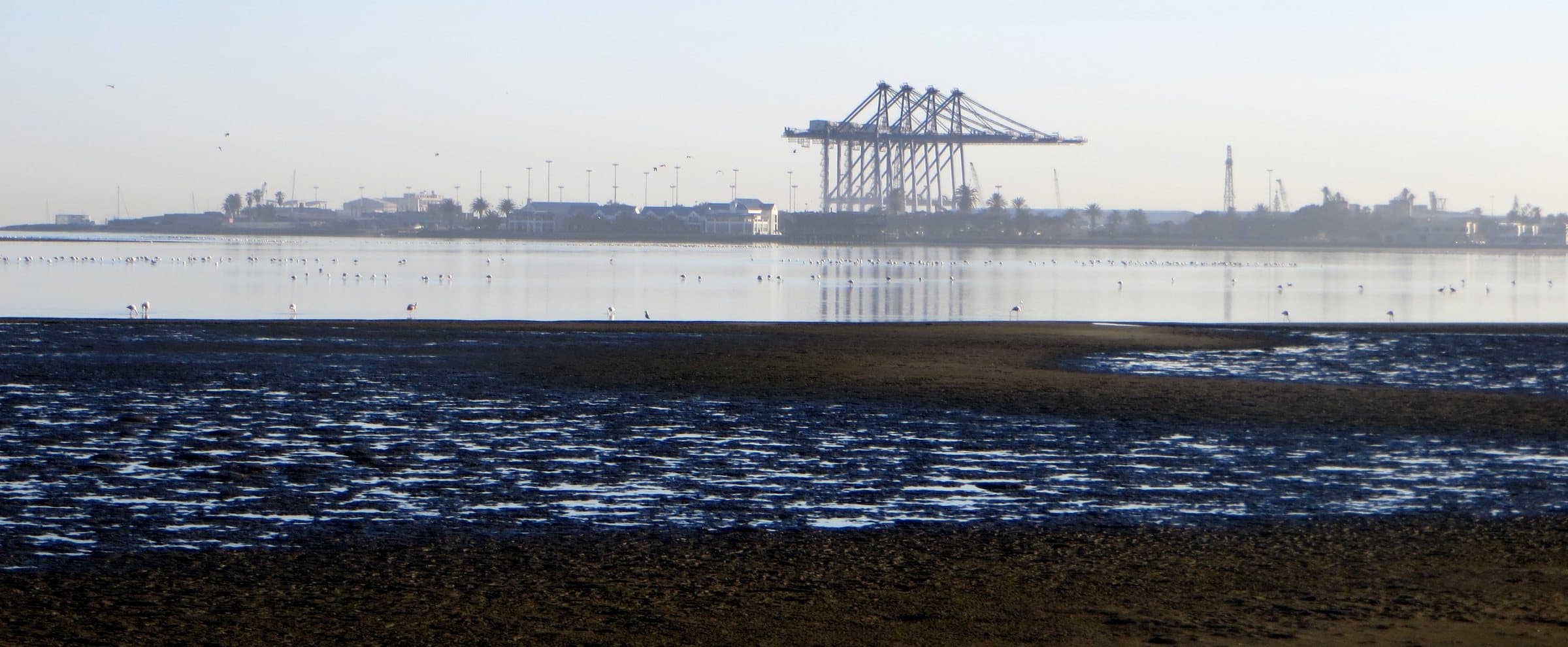 Container gantry cranes at the Walvis Bay terminal, seen across the tidal lagoon at low water.